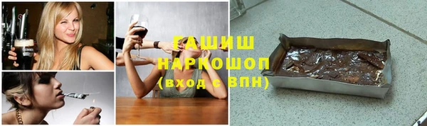 хмурый Аркадак