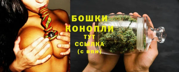ГАЛЛЮЦИНОГЕННЫЕ ГРИБЫ Балабаново