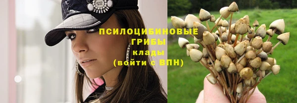 ГАЛЛЮЦИНОГЕННЫЕ ГРИБЫ Балабаново