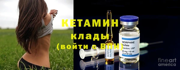 хмурый Аркадак