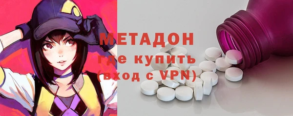хмурый Аркадак