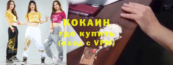 хмурый Аркадак