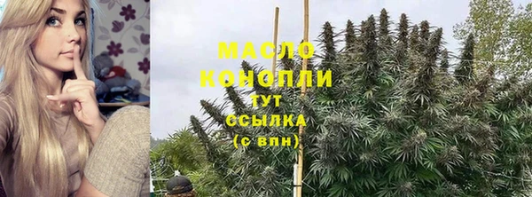 хмурый Аркадак
