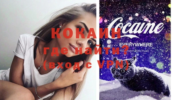 хмурый Аркадак