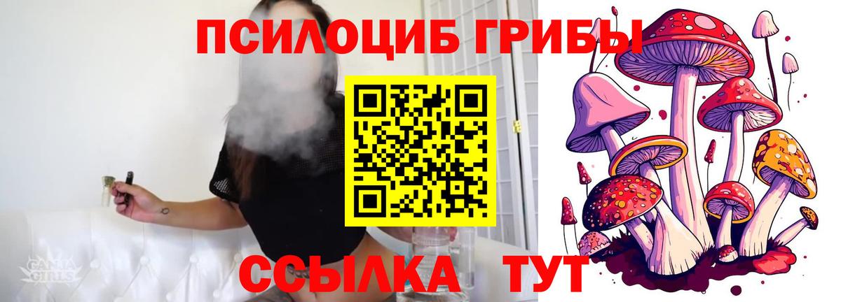 Галлюциногенные грибы GOLDEN TEACHER  Псилоцибиновые грибы MAGIC MUSHROOMS  Вход с VPN  Благодарный 